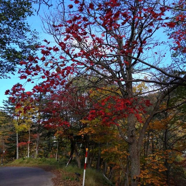 北海道大雪山國立公園漫步 北海道大雪山國立公園漫步