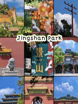 언덕을 조금만 올라가면 백만 달러짜리 전망을 볼 수 있어요. 🏯✨