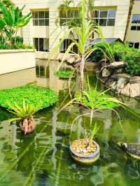 Discover Relax Hotel 🏨 Rainy Green Escape🌴