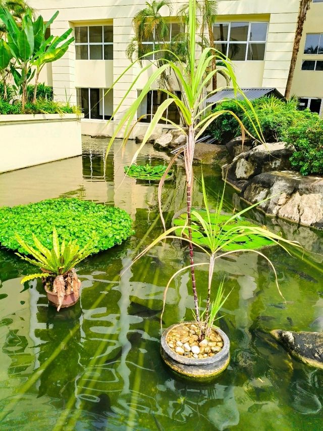Discover Relax Hotel 🏨 Rainy Green Escape🌴