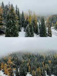 Altay's First Snow: A Magical October Transformation ❄️🏔️
