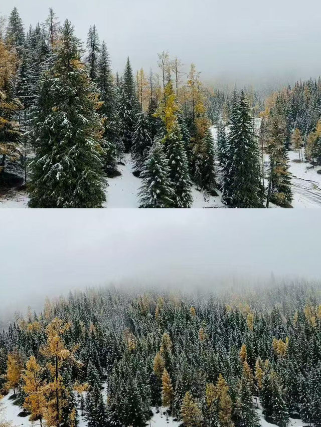 Altay's First Snow: A Magical October Transformation ❄️🏔️ Altay's First Snow: A Magical October Transformation ❄️🏔️