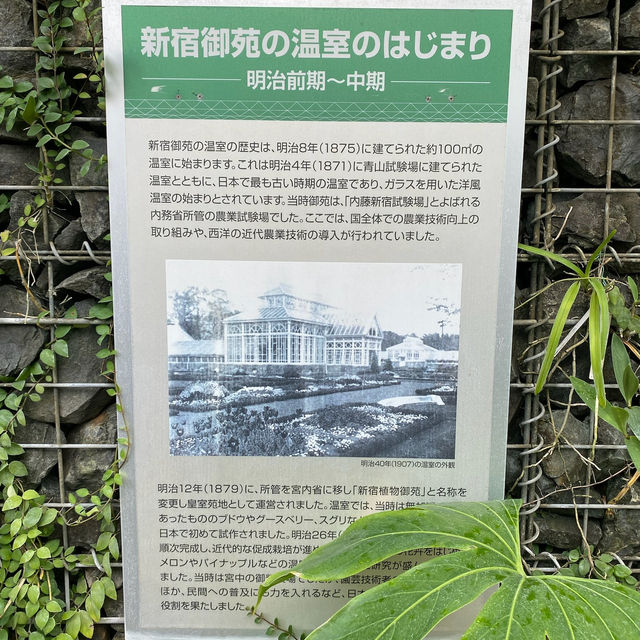 日本新宿御苑-大溫室 🌸 日本新宿御苑-大溫室 🌸