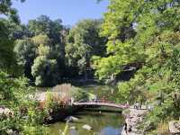 Arboretum Sofiyivka