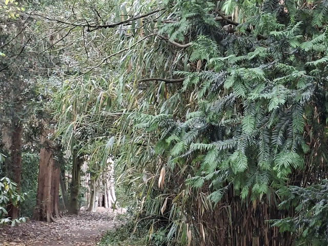 Arboretum Kalmthout
