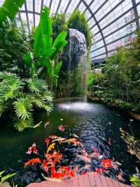 🐛🌺🦋🌿 A Magical World of Butterflies at Entopia Penang.