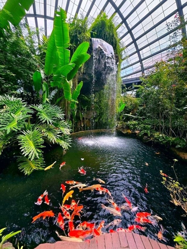 🐛🌺🦋🌿 A Magical World of Butterflies at Entopia Penang.