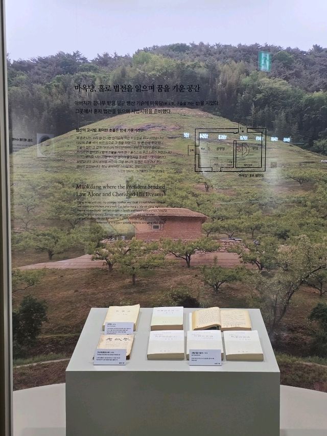 🧒 시작의 이야기, 한 사람의 꿈이 자라난 과정