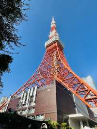 【ひとり旅におすすめ】東京満喫トリップ②日目