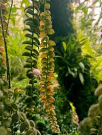 新加坡 4日3晚 游