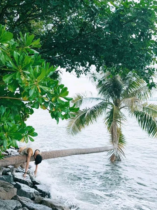 Marina Bay Magic✨ Marina Bay Magic✨