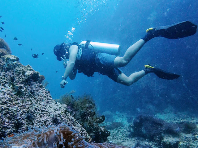 ดำน้ำลึกกับ Chumphon Diving Center 