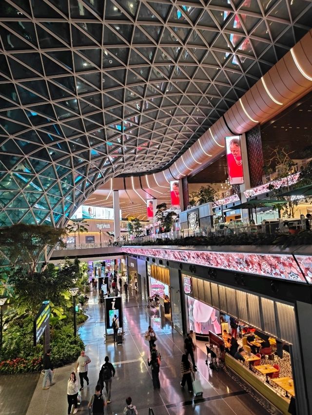 A Forest Between Flights: My Walk Through the Orchard at Hamad Airport