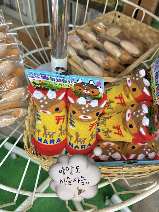 정말 나라는 “사슴의 도시”란 말이 딱이에요!🫎✔️