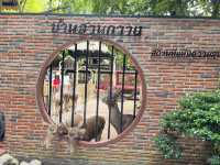 บ้านสวนกวาง