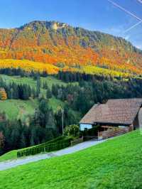 Traditional wooden chalets