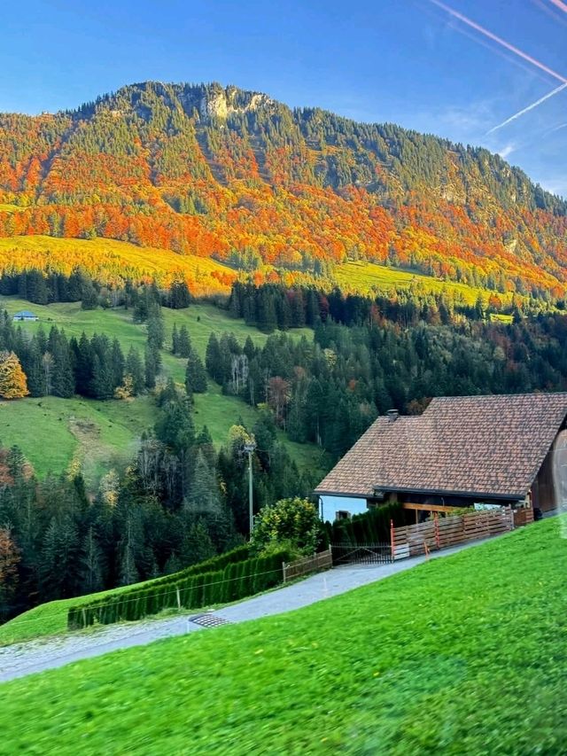 Traditional wooden chalets