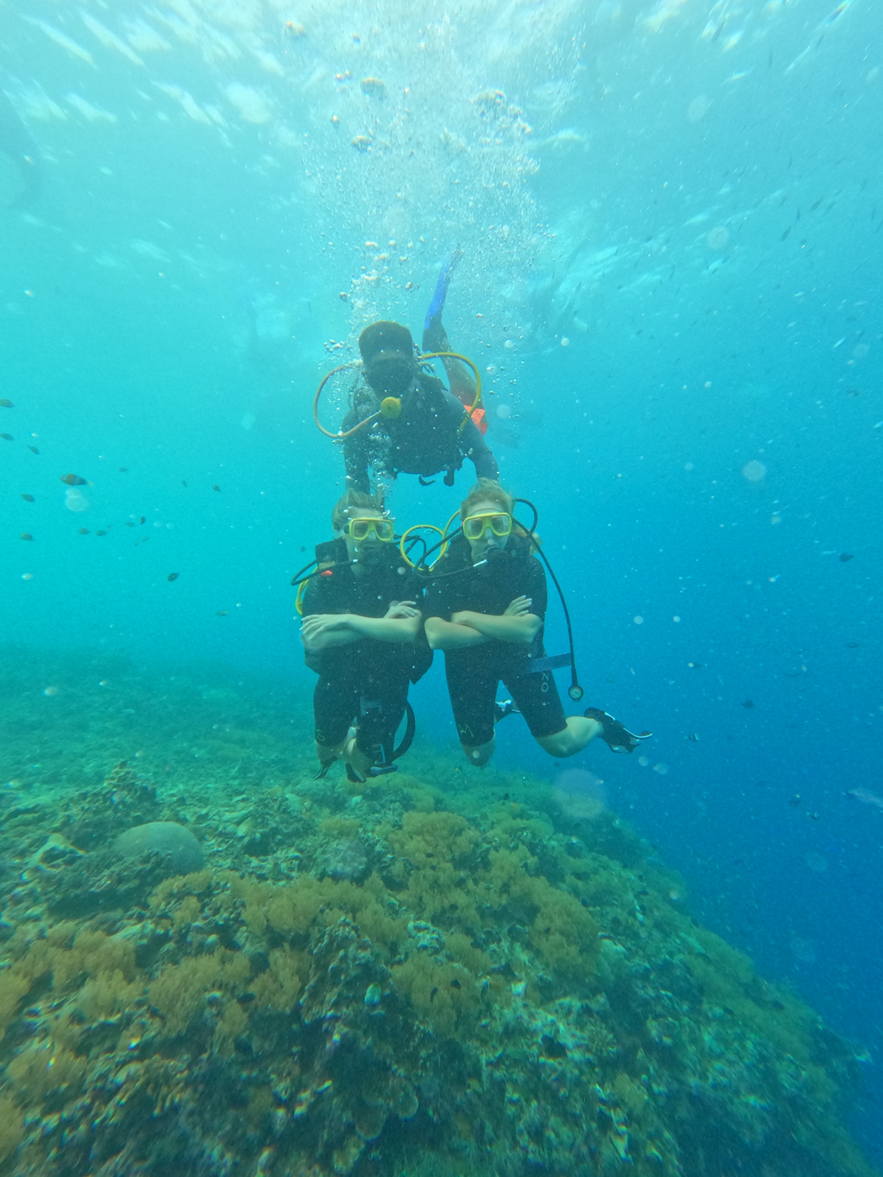 Exploring Panglao in Bohol Island was an absolute blast 🌴🤿! From diving into vibrant, underwater worlds to winding down at a hip local spot for dinner, this trip mixed adventure and chill vibes perfectly.

Top Spots to Visit:
1. Scuba Diving in Panglao
Panglao is famous for its clear waters and wild biodiversity. Whether you’re a newbie or a pro, there’s dive sites for every level. Don’t rush—take time to marvel at coral gardens, turtles, and schools of fish. My tip: Book a morning dive when visibility is best. Many local operators supply gear, and staff are super friendly!

2. Mist Cafe and Restaurant
After underwater exploring, head over to Mist Cafe and Restaurant (Purok 5, Danao, Panglao 6340 Philippines) for dinner. The chill vibes, excellent menu (try the seafood—so fresh!), and outdoor seating make it perfect for post-dive relaxation. I recommend their grilled fish if you’re craving local flavor.

Essential Tips:
Getting Around: Panglao’s best conquered by motorbike or tricycle—both are cheap and easy to hail. Dive shops often provide transport for trips too.
Food: Aside from Mist, sample beachfront BBQ spots for late-night eats.
Money: Bring cash! Not all places accept cards (especially local dive shops).
Weather: Dry season (Nov-Apr) is prime time for clear waters and sunny days.

For serious underwater fans and laid-back foodies, Panglao delivers every time. Book activities and accommodation in advance, especially during peak season, for smooth travels.

#DivingBohol #PanglaoEats #BeachLife #PhilippinesAdventure