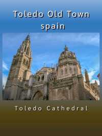 Toledo Old Town @ Spain