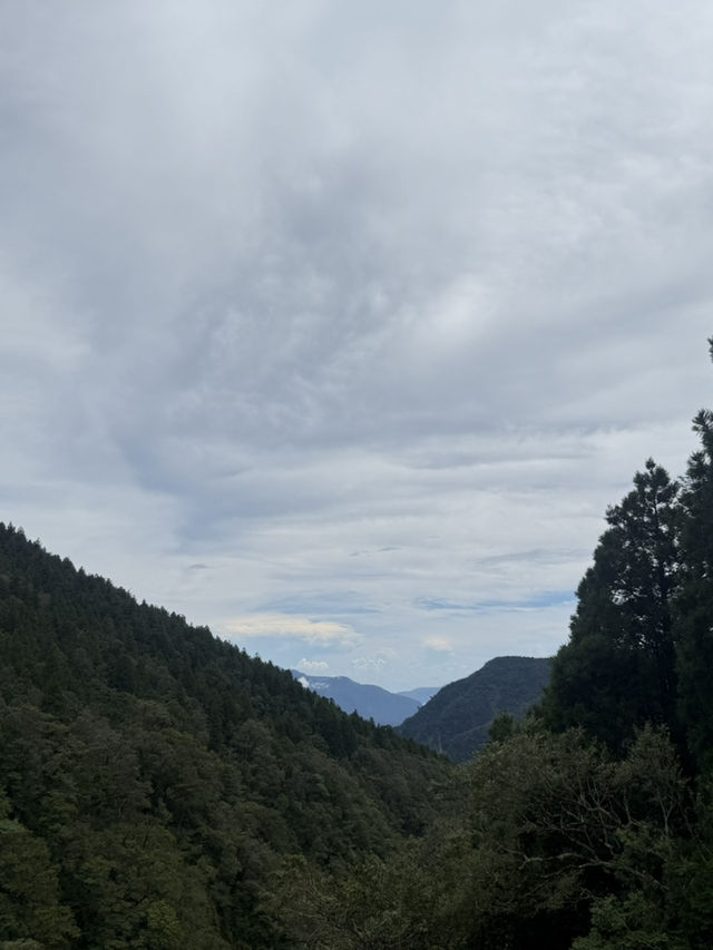 太平山蹦蹦車與古道探秘 太平山蹦蹦車與古道探秘
