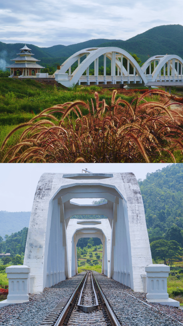 เที่ยวลำพูน ไหว้พระทำบุญ สัมผัสธรรมชาติฟินๆ