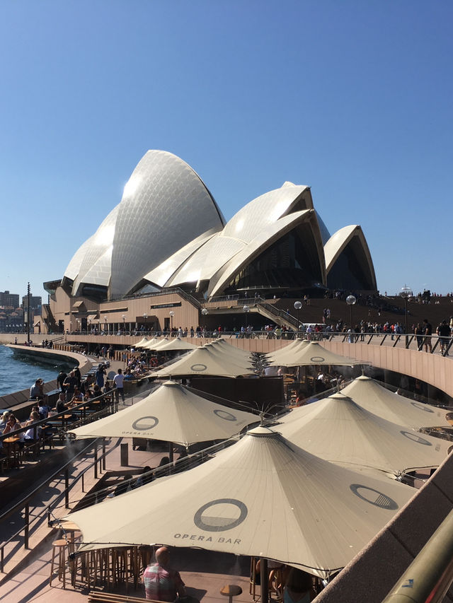 2018年 終於實現了我的承諾～