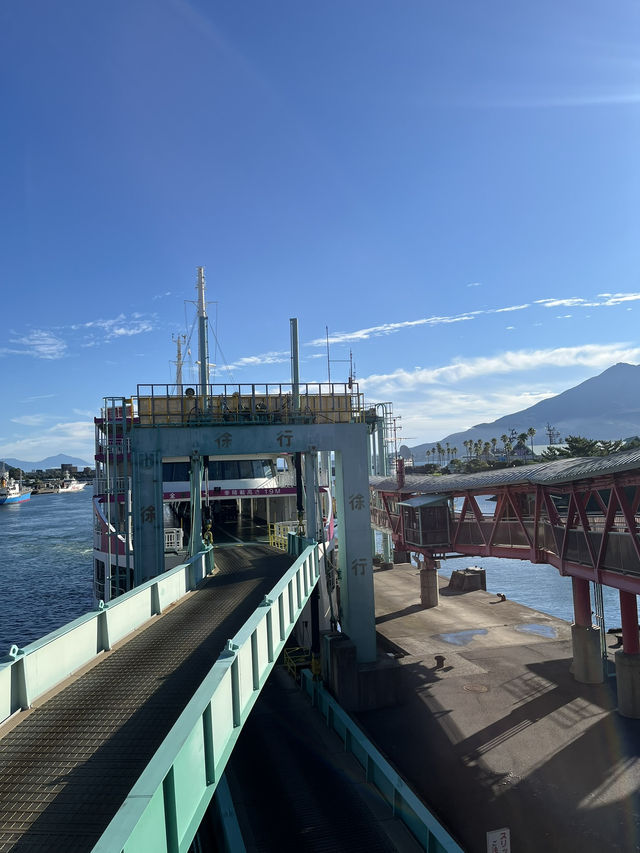 🚢 【1時間半で完結!朝イチ🌋桜島プラン】 🚢 【1時間半で完結!朝イチ🌋桜島プラン】