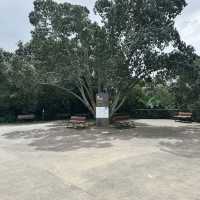 Auckland Zoo: ครึ่งวันที่เต็มไปด้วยความสนุกสนาน