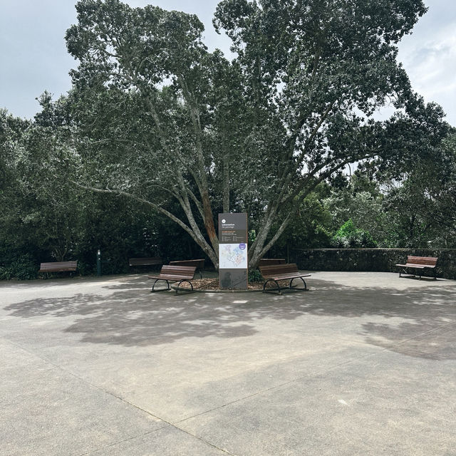 Auckland Zoo: ครึ่งวันที่เต็มไปด้วยความสนุกสนาน Auckland Zoo: ครึ่งวันที่เต็มไปด้วยความสนุกสนาน