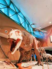 Shanghai Natural History Museum