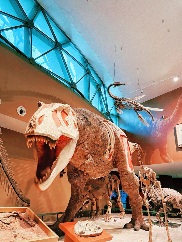 Shanghai Natural History Museum Shanghai Natural History Museum