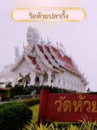 🐲 วัดห้วยปลากั้ง (เชียงราย)