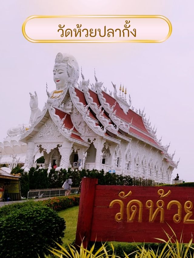 🐲 วัดห้วยปลากั้ง (เชียงราย)