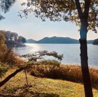 Autumn Foliage Framing the Presidential Villa