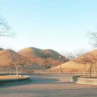 ๐๊ฒฝ์ฃผ์ ๋ฐค์ ๋น์ ์ ๋ฎ๋ณด๋ค ์๋ฆ๋ต๋ค