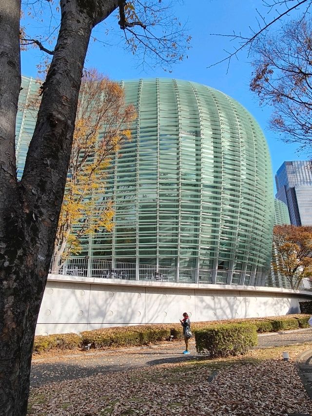 東京國立新美術館 光影與幾何之美 東京國立新美術館 光影與幾何之美