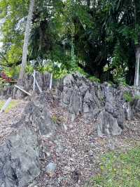 Paku Garden: A Scenic Nature Escape