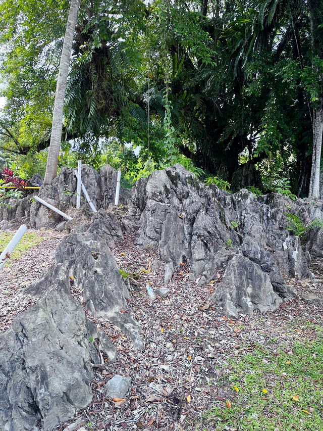 Paku Garden: A Scenic Nature Escape Paku Garden: A Scenic Nature Escape