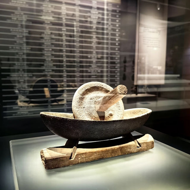 古器皿揭秘博物館之旅🧭 古器皿揭秘博物館之旅🧭