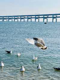 🇨🇳 여유롭게 산책하기 좋은 대련의 해양공원 흑석초 공원