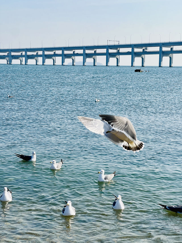 🇨🇳 여유롭게 산책하기 좋은 대련의 해양공원 흑석초 공원