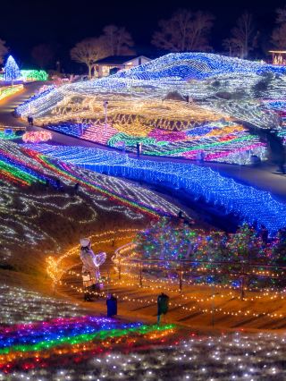 อะไรนะ? งานประดับไฟที่ยิ่งใหญ่ที่สุดของชิโกกุ ราคาแค่ 450 เยนเองเหรอ?! งานประดับไฟสวนมันโน 2025