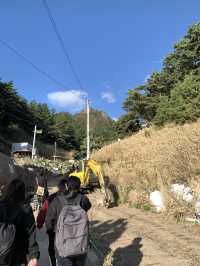 Blue Bridge Magic🌊