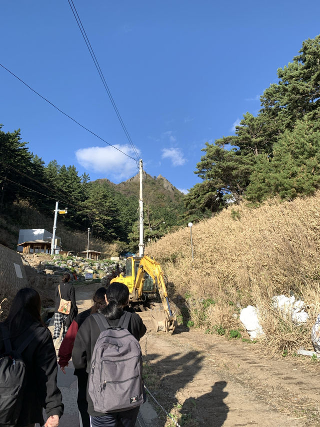 Blue Bridge Magic🌊 Blue Bridge Magic🌊