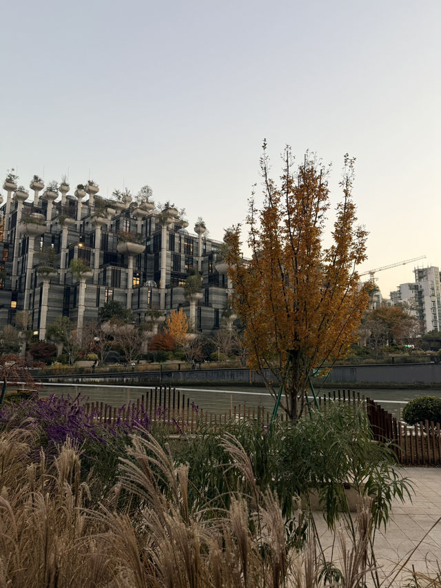 คู่มือเที่ยวเซี่ยงไฮ้ 6 วัน ในวันหยุยาว คู่มือเที่ยวเซี่ยงไฮ้ 6 วัน ในวันหยุยาว