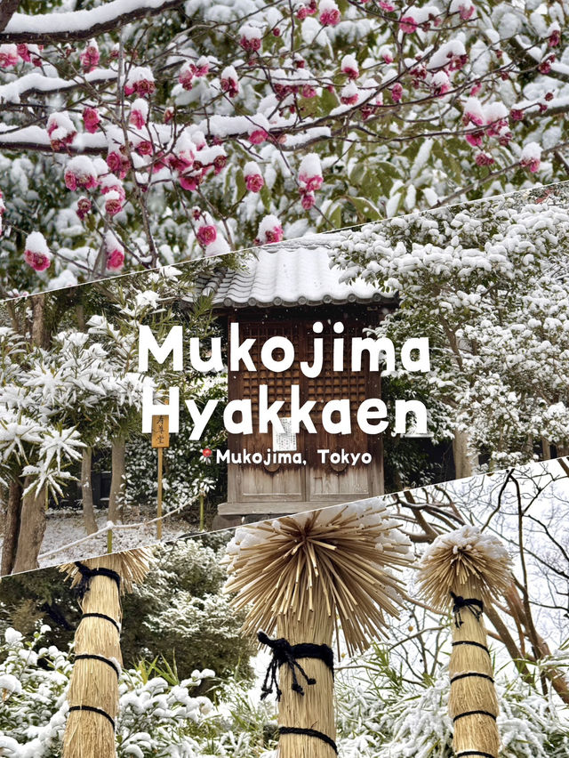 When Snow Rewrites a Classic Garden Scene