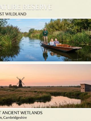 National Trust - Wicken Fen Nature Reserve