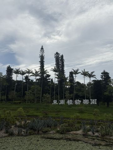 🌴南国の風に包まれる、癒しと発見のガーデン🌿✨ | Trip.com 沖縄市