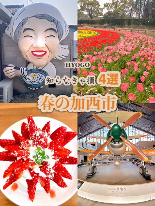 【兵庫県】春の加西市おすすめスポット4選