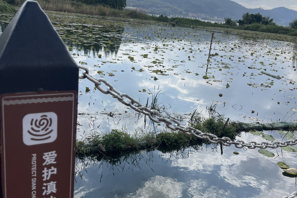 昆明滇池限定美景打卡🌊天空之鏡+夢幻湖畔小火車行｜Trip.com 昆明